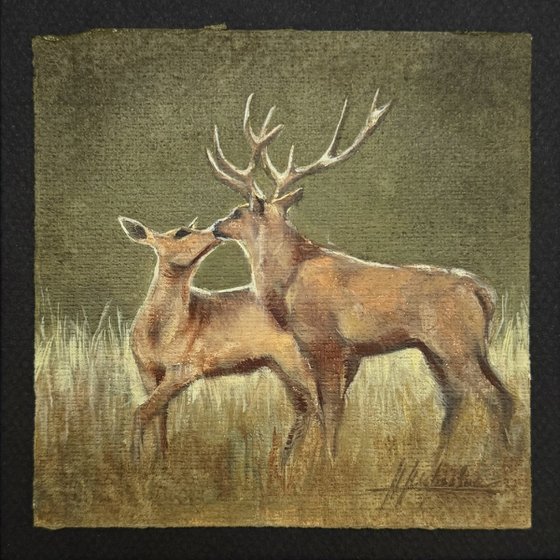 Forest vows