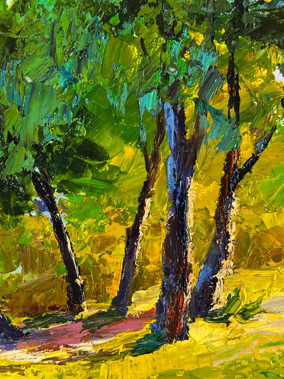 Summer Forest Glade