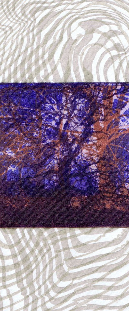 The Beautiful Trees 8 by Aidan Flanagan Irish Landscapes