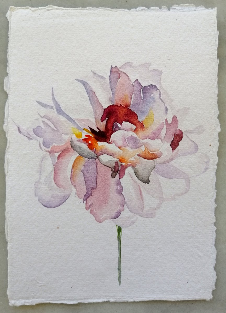 White flower by Alexandra Bari
