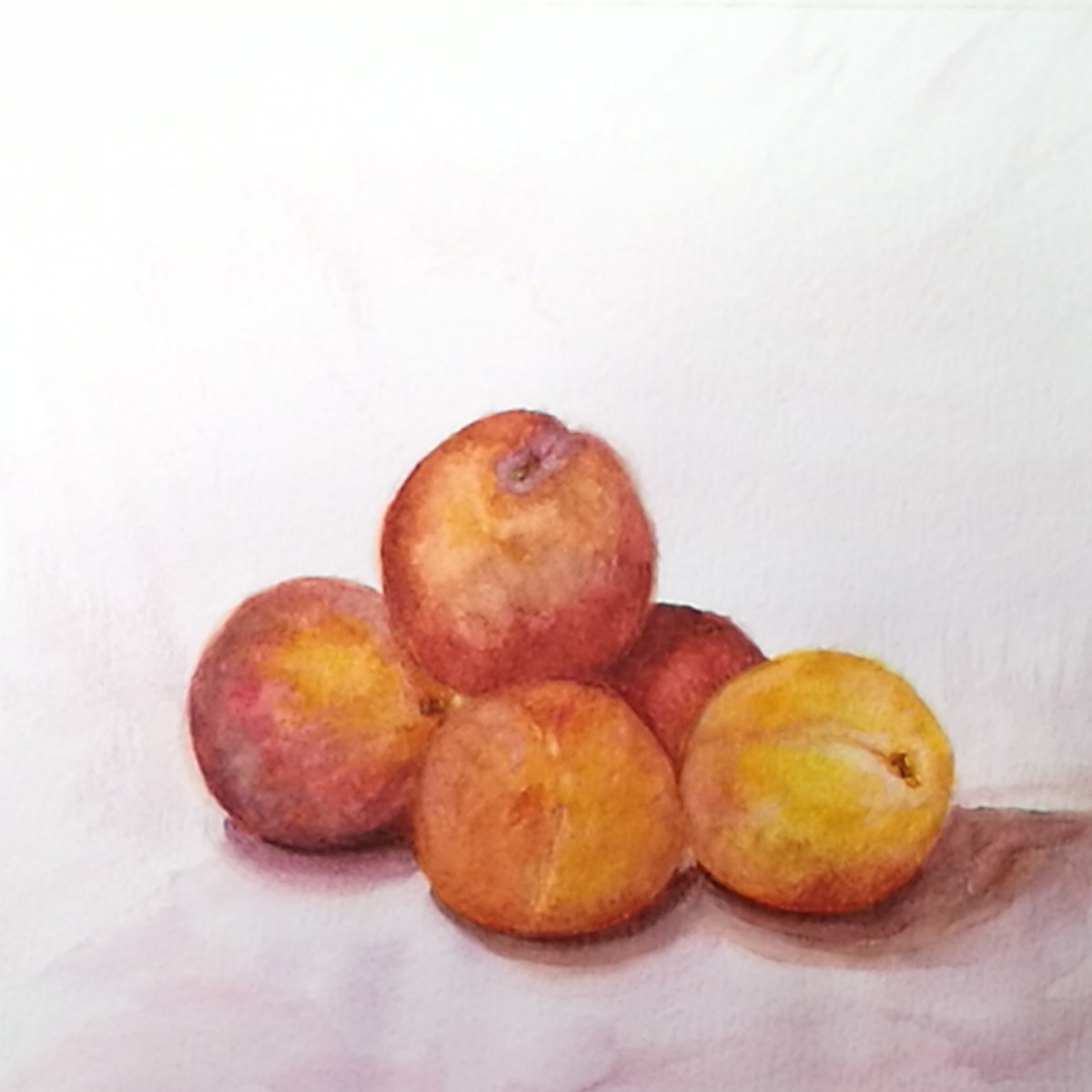 Ripe plums by Daniela Roughsedge