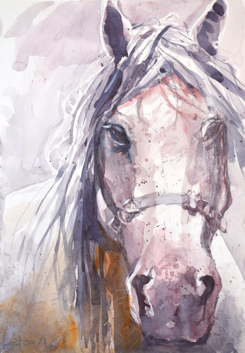 Animal Watercolour By Goran Zigolic Watercolors, 14 X 20, Horse Head 6, Original Artwork