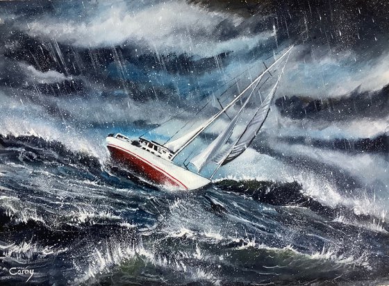 Through Stormy Seas