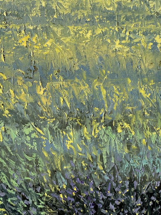 Field at Sunrise A24 40x60cm.