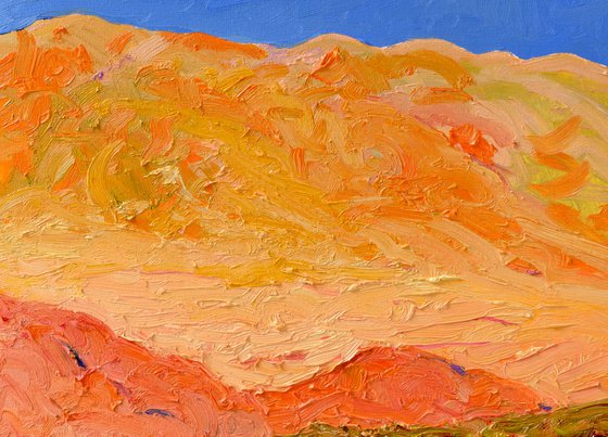 Warmth of the Desert