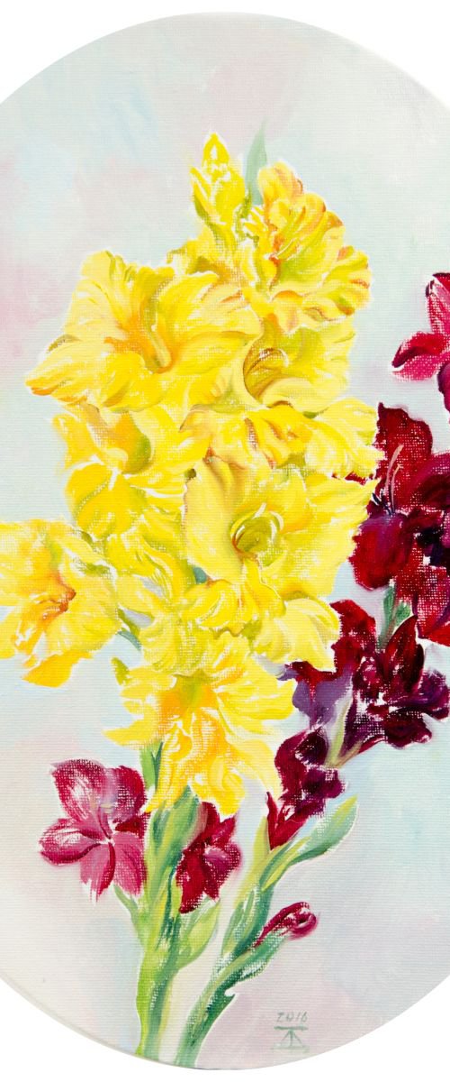 Red and yellow gladiolus by Daria Galinski