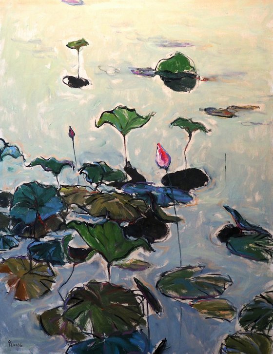 Lotus leaves