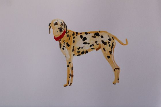 Spotty Dog