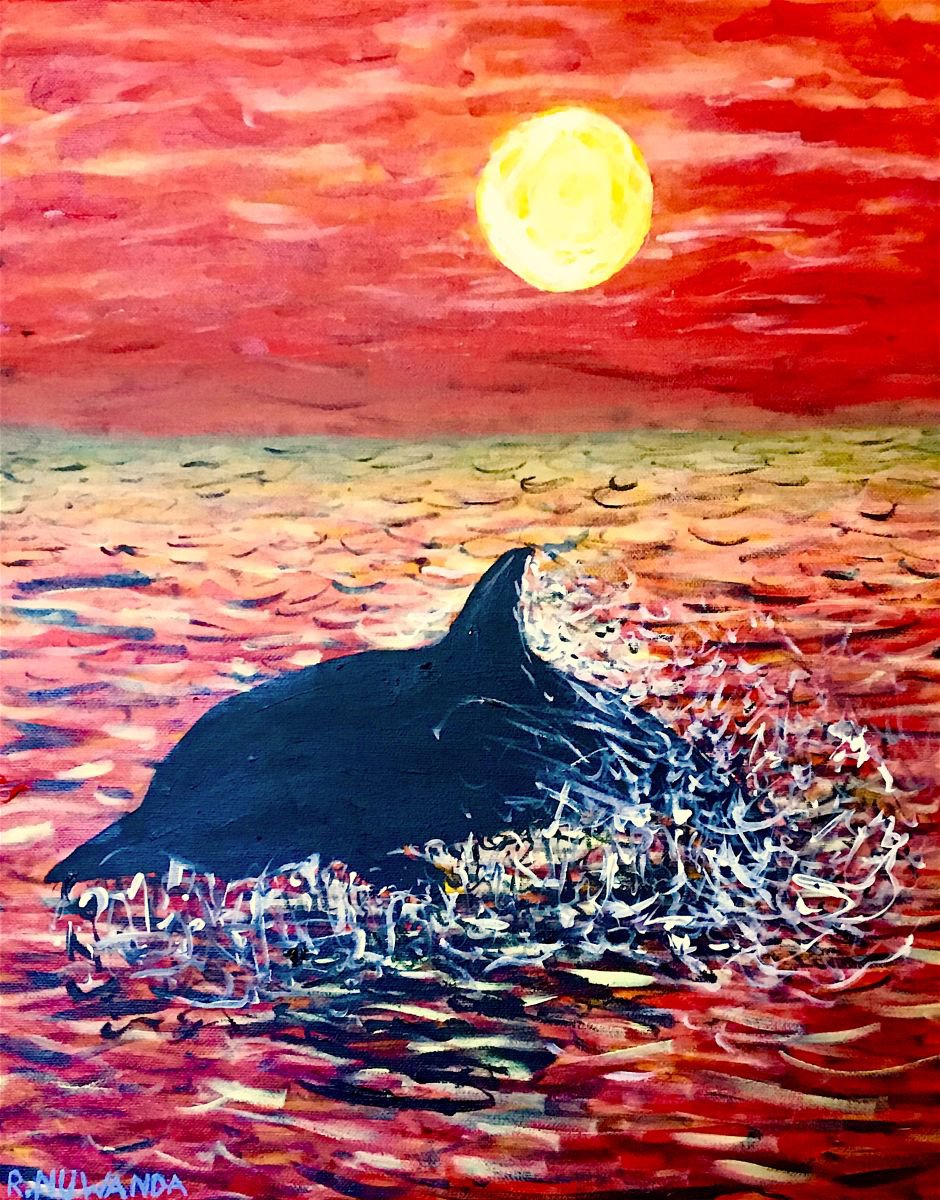 Dolphin Sun Tan by Robbie Potter
