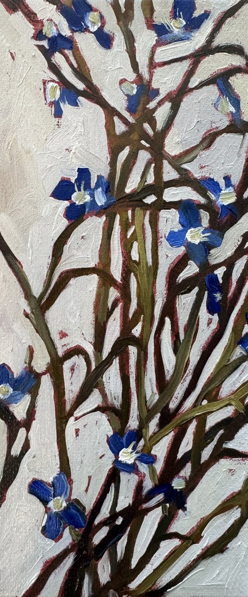 «Fragility” by Alisa Diakova