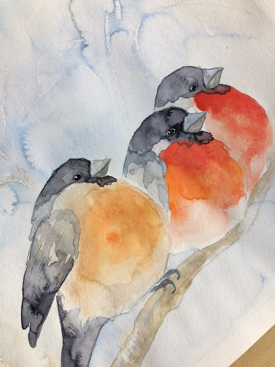 Bullfinches