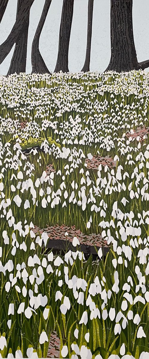 Snowdrop Woods by Joanne Spencer