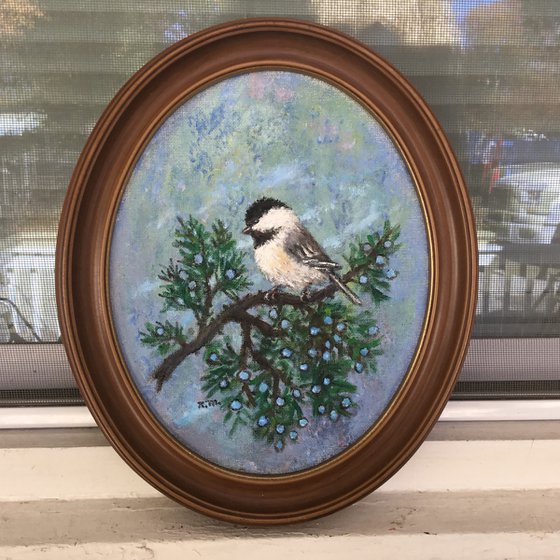 CHICKADEE # 51 - 10X8 oval oil  (SOLD)