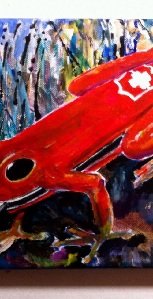 Une Grenouille Suisse by Chris Walker