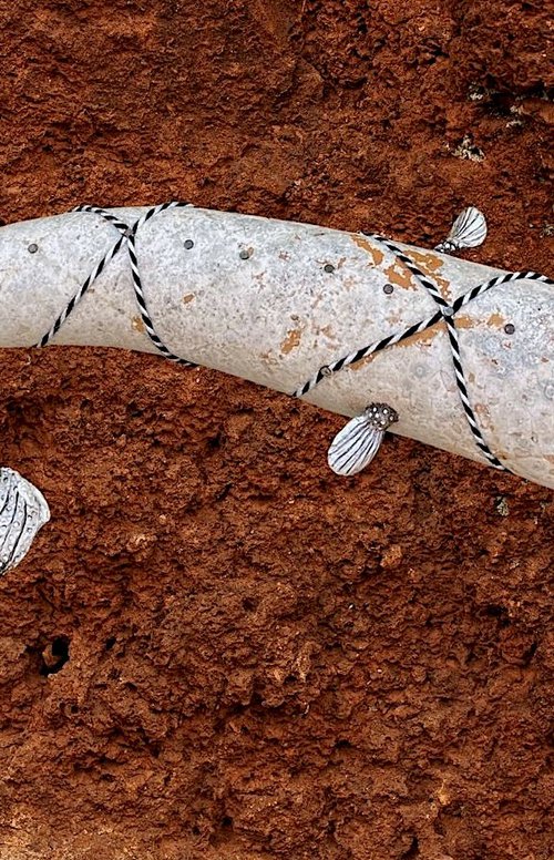 THE CATFISH OF GALATEA by Eleanor Gabriel