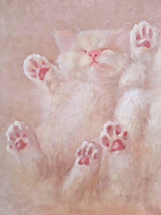 Pink cat paws