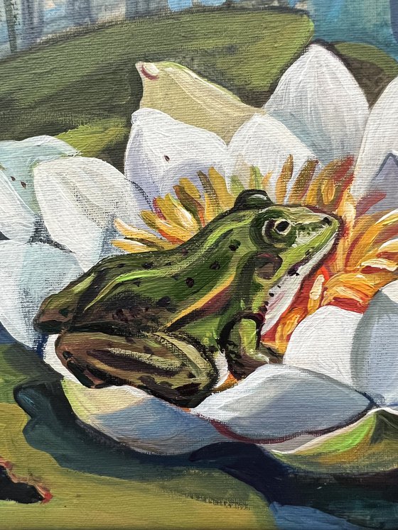 The Frog Princess. Frog on a water lily. Frog and waterlilies.