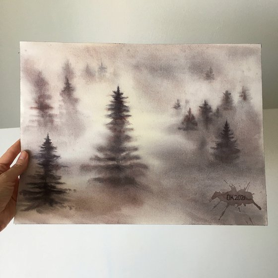 "Foggy alpine forest"
