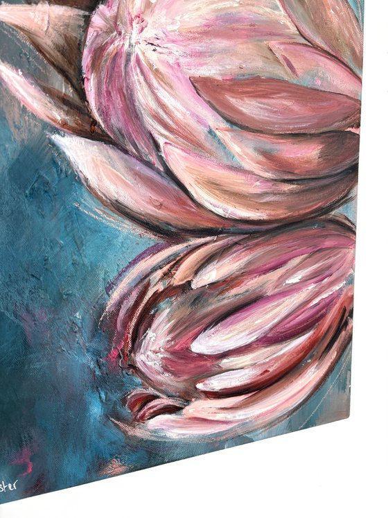 Proteas in Stillness