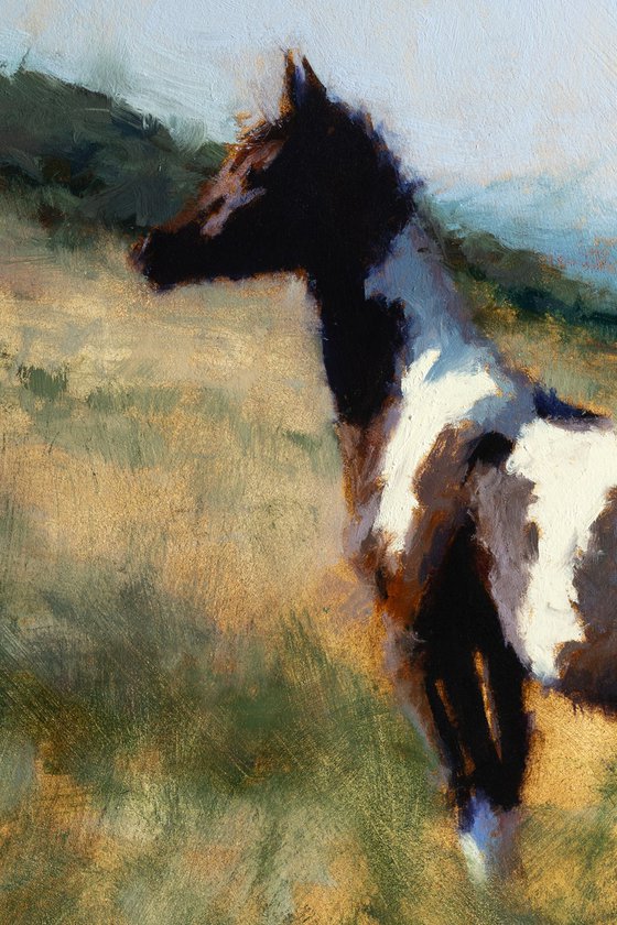 “Beneath the Mountain Sky”