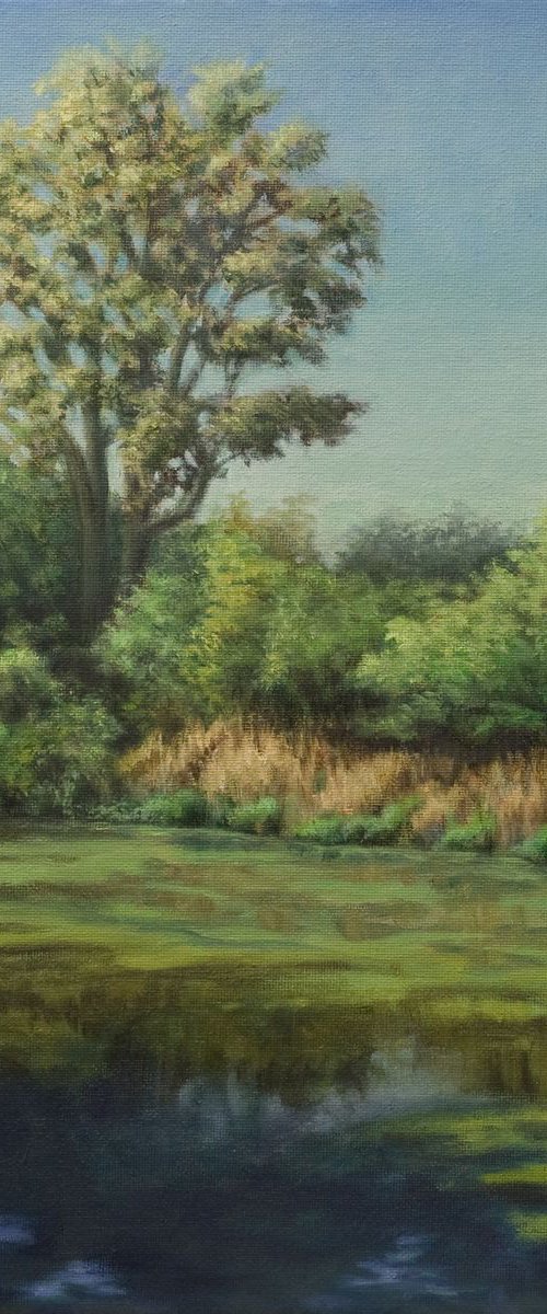 Summer Scene at the Lagoons by John Fleck