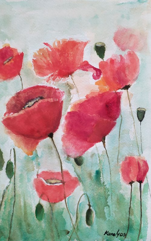 Red poppies by Maria Karalyos