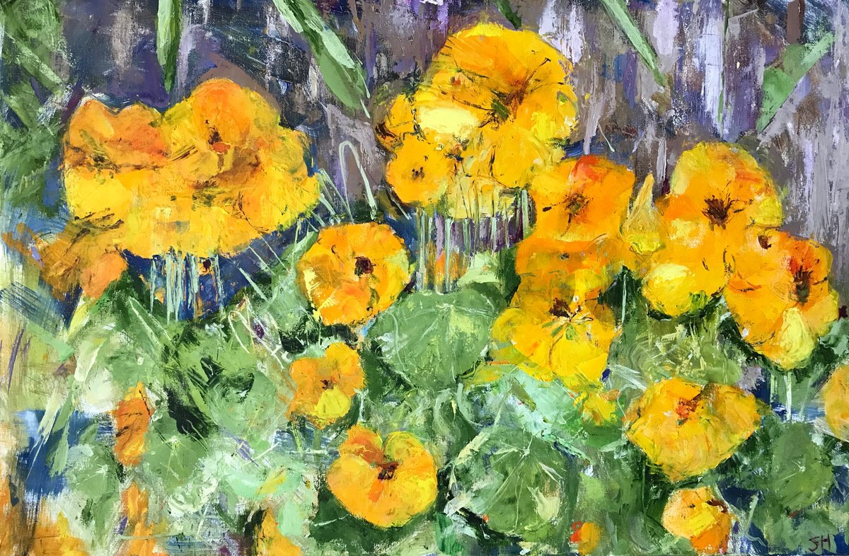 Nasturtiums by Sandra Haney