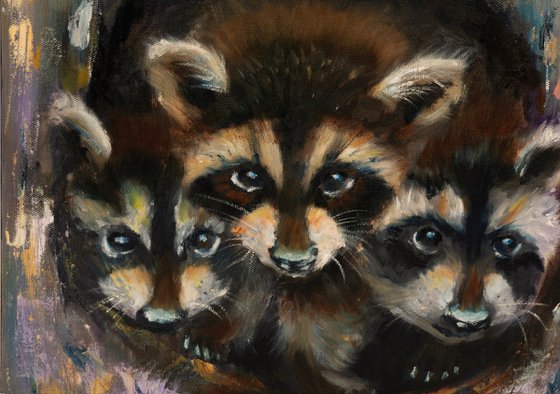 Raccoon Family