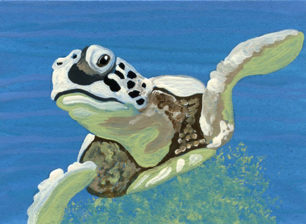 ACEO ATC Original Miniature Painting Sea Turtle Marine Wildlife Art-Carla Smale by carla smale