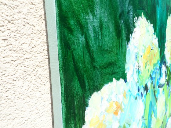 " Hydrangea "