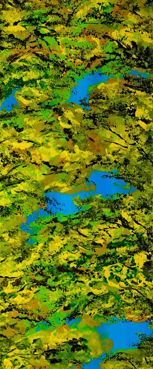 Colorful autumn 1 by Daniel Urbaník