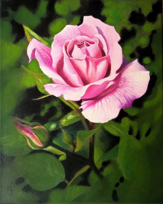 "A rose", an original oil painting on canvas