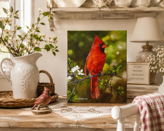 Red Cardinal