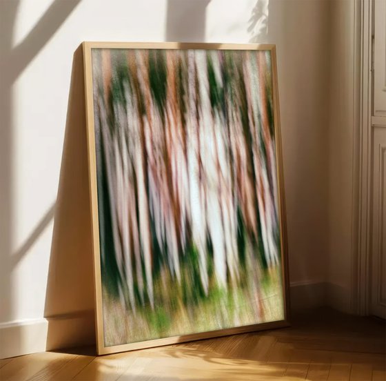 Metsä (studio 5)
