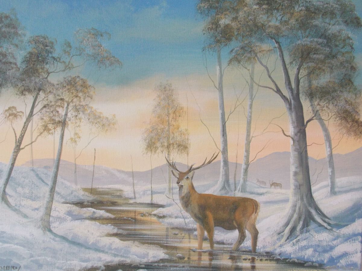 stag in the snow by cathal o malley