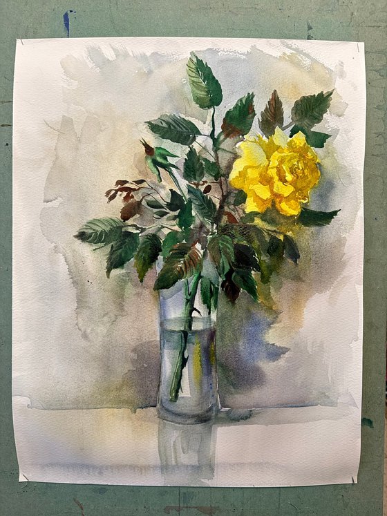 Yellow Rose