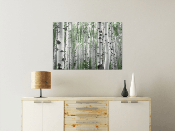 July Aspens