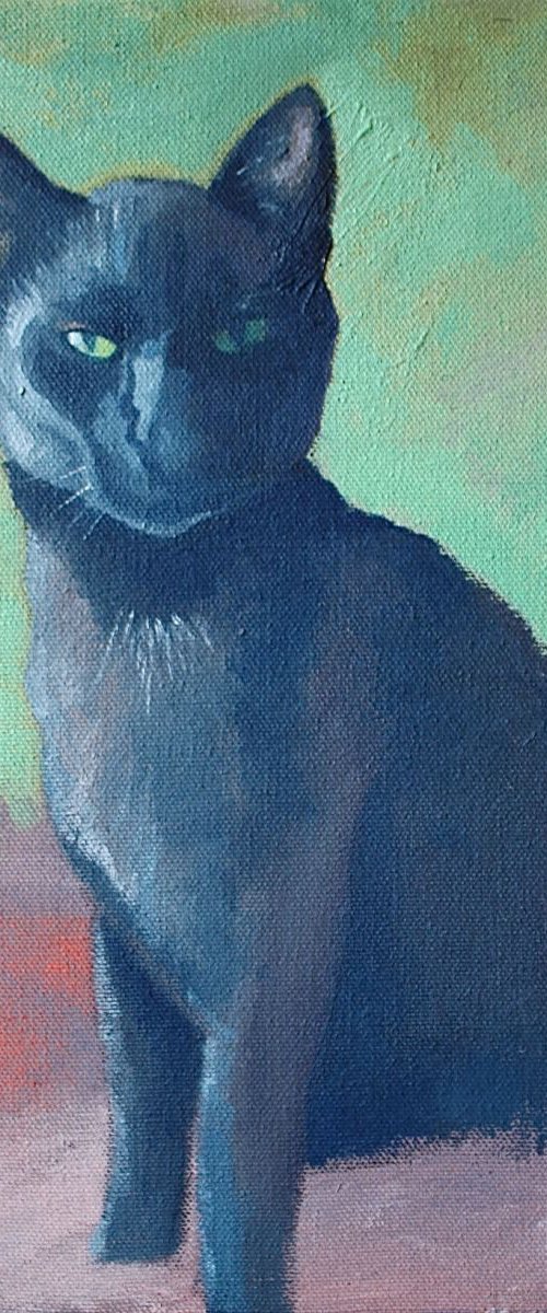 'Basil' The Rescue Cat by Simon Jones