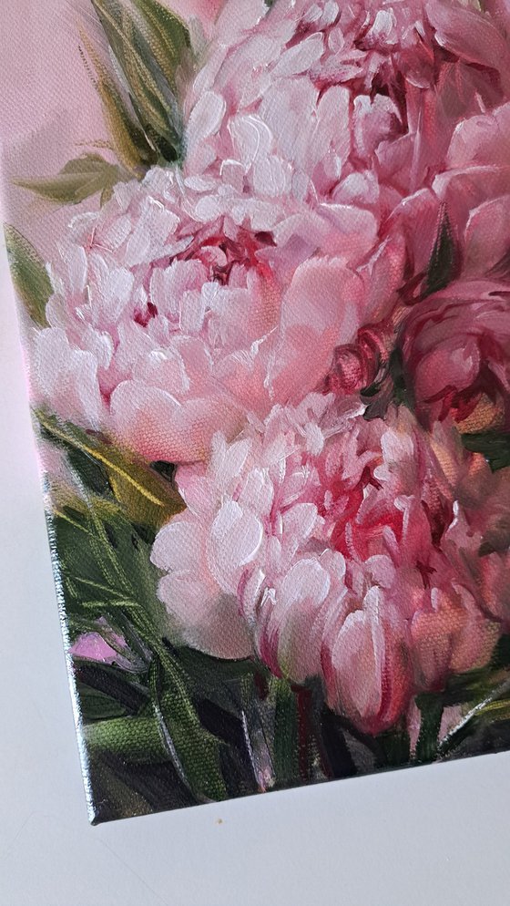 Peony pink