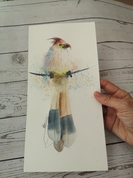 Parrot on a Branch