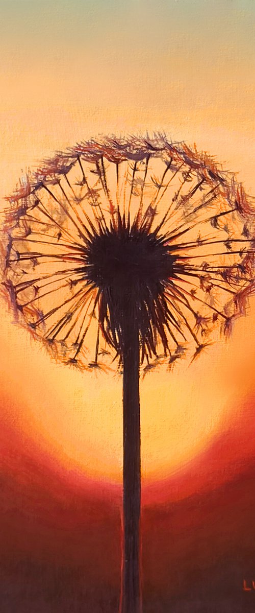 Make a wish... by Lucia Verdejo