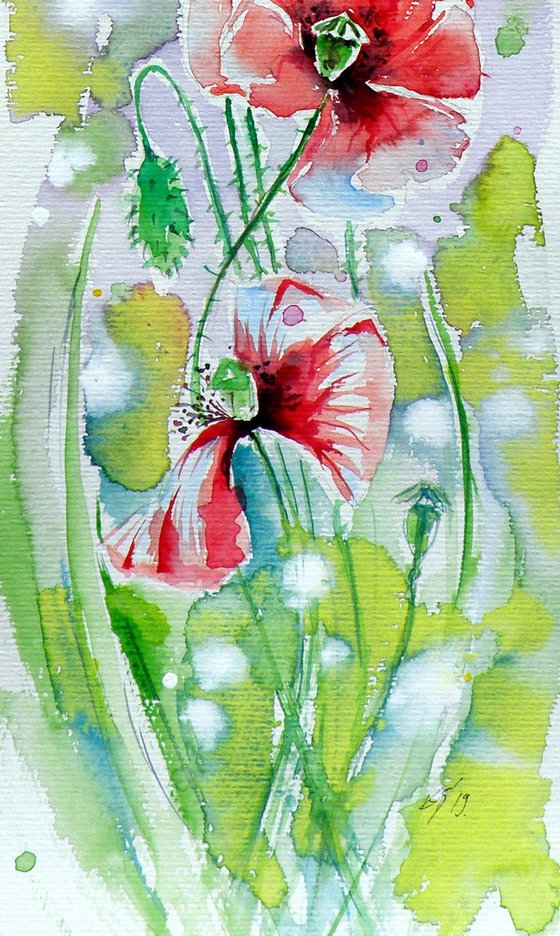 Poppies of summer VI