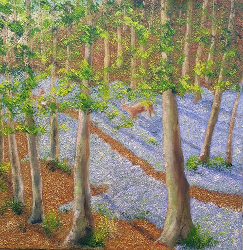 Beeches and Bluebells by David Wettner