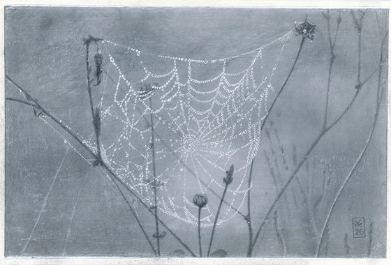 Spiderweb: Draped Lace