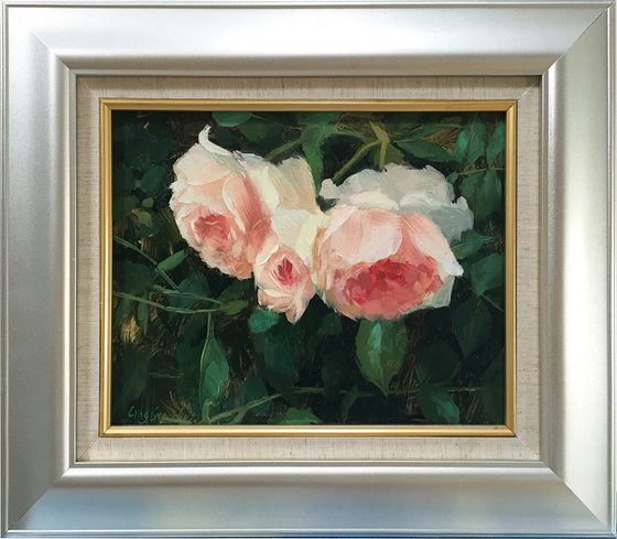 Garden Rose - 2 (framed)