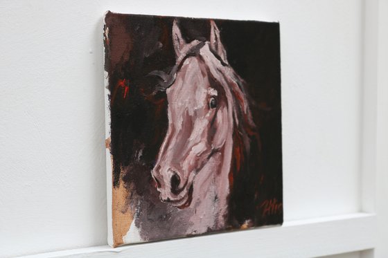 Equine Head Arab White (study 19)