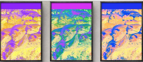 Set of 3. Colorful Fishes