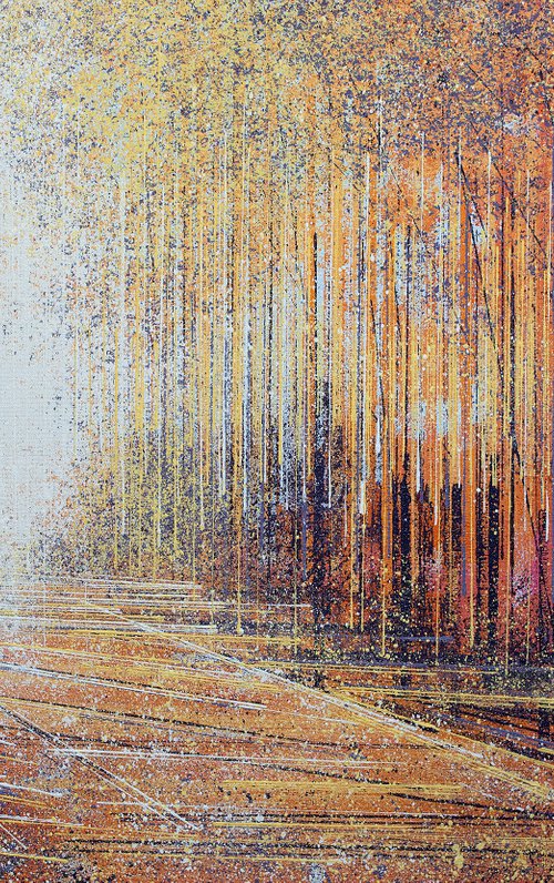Forest Trees At Sunset by Marc Todd