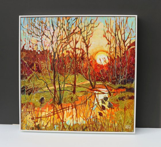 Sun Setting Over Aldi