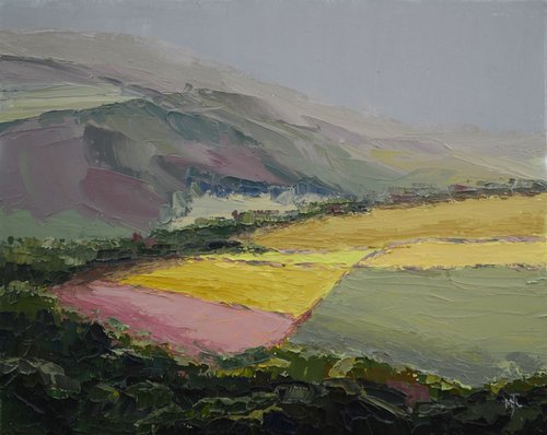 Peak Fields by Michael Jules Lang